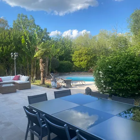 Entre Amis Famille Proche Toulouse 10 Pers, Jacuzzi Piscine Bar Villa