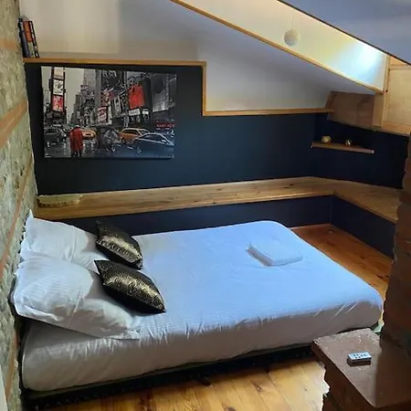 Entre Amis Famille Proche Toulouse 10 Pers, Jacuzzi Piscine Bar Villa