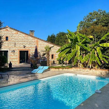 Entre Amis Famille Proche Toulouse 10 Pers, Jacuzzi Piscine Bar Villa