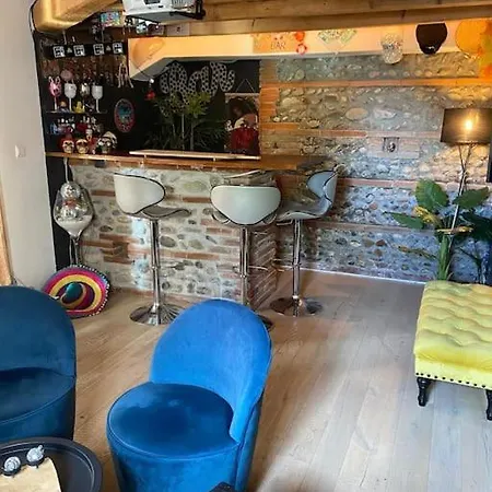 Entre Amis Famille Proche Toulouse 10 Pers, Jacuzzi Piscine Bar