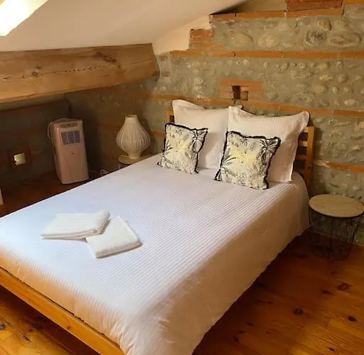 Toulousaine De 200 M2 10 Pers Piscine Jacuzzi Proche De Toulouse Villa