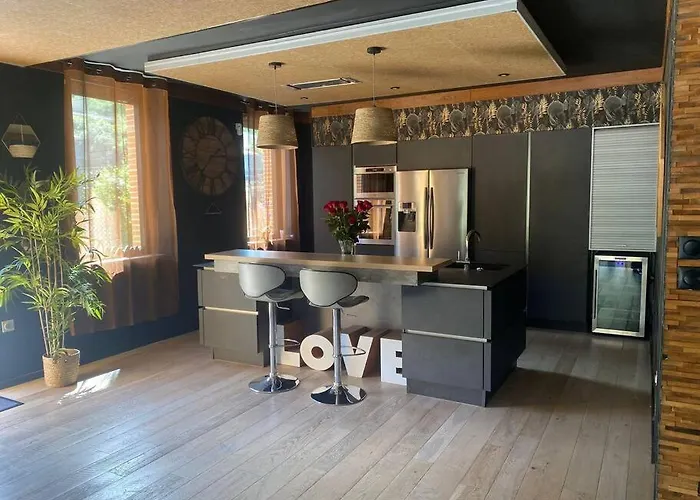 Villa Toulousaine De 200 M2 10 Pers Piscine Jacuzzi Proche De Toulouse